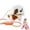 Brown, variant on Tiannnnntoy Electronic Soft Plush Puppy Toy, Interactive, Running Barking Motion, for Kids, Battery Operated, Brown, 1-Pack