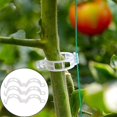 thumbnail image 3 of Jinyi Plant Clips,vines Clips Durable Crop Clips Reusable Plant Connects Clips Ening Tools Accessories For Ling Grafting Vet, 3 of 5