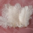 thumbnail image 2 of 50 Pcs Colourful Plumage For Wedding Party Centerpieces Flower Arrangement Home Decoration Diy Middle Floating Plume Hair Clothing Craft Decoration Plumage, 2 of 3