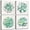 Green Succulent Plants, variant on Nautical Canvas Wall Art Ocean Bathroom Decor Sea Pictures for Living Room Rustic Octopus Wall Art Bedroom Home Decorations Teal Coastal Beach Artwork Turtle Painting Seahorse Posters 14x14" 4Pcs/Set