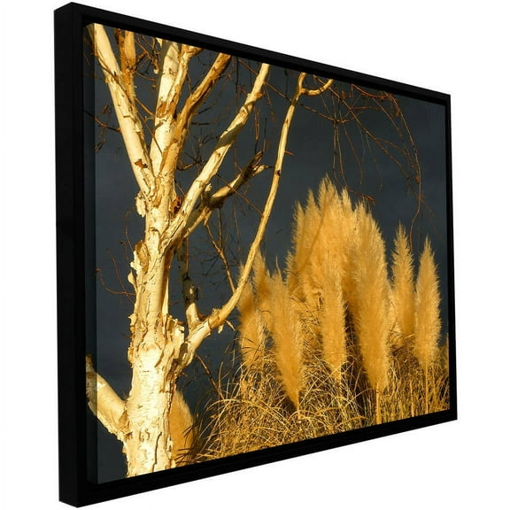 ArtWall Dean Uhlinger "Autumn Storm Light" Floater Framed Gallery-Wrapped Canvas