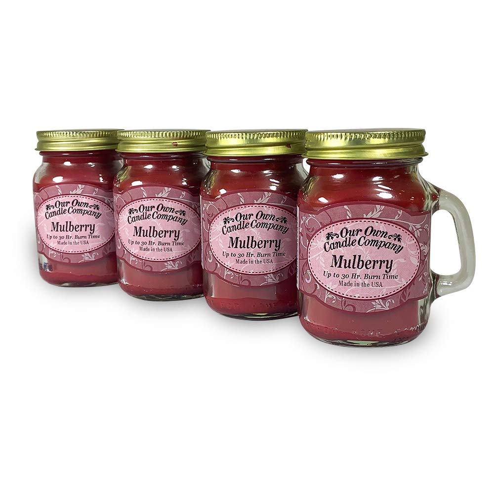 Our Own Candle Company Mulberry Scented Mini Mason Jar Candle, 3.5
