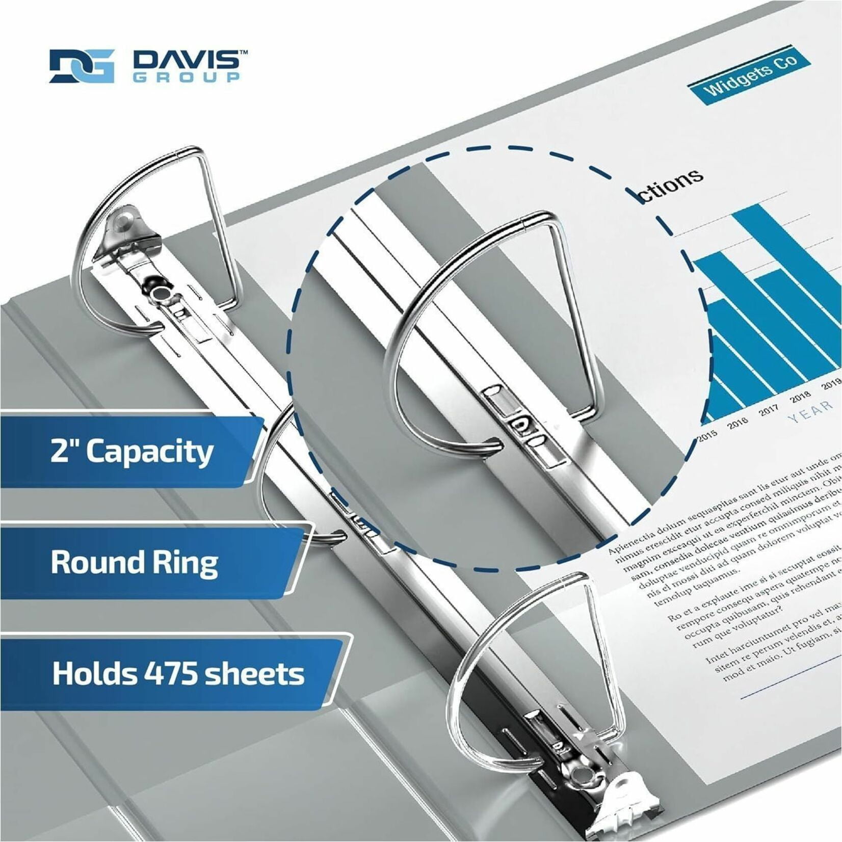 Davis Group Premium Economy, Angle D Ring, Binder, 6 Pack (Grey, 2")
