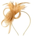 thumbnail image 1 of Tulle Mesh Headpiece,Elegant Hat Clip,Party Performance Hair Accessories,Delicate Lightweight Tulle Mesh Craft With Minimalist Decorative Design,Exquisite Hair Clip Ornament For Party,Gold, 1 of 7