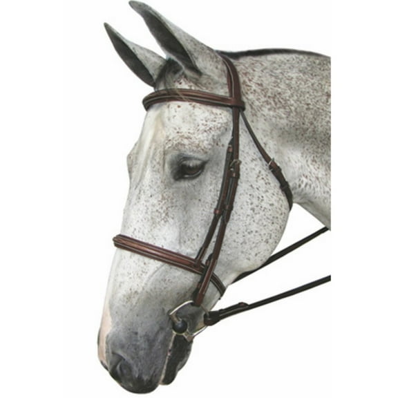 Henri de Rivel Pro Mono Crown Fancy Stitched Padded Bridle