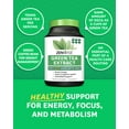 thumbnail image 4 of Zenwise Health Green Tea Extract with Green Coffee Bean Extract - Vegan Skin & Heart Support + Brain Health & Memory Boost - 120 Count, 4 of 6