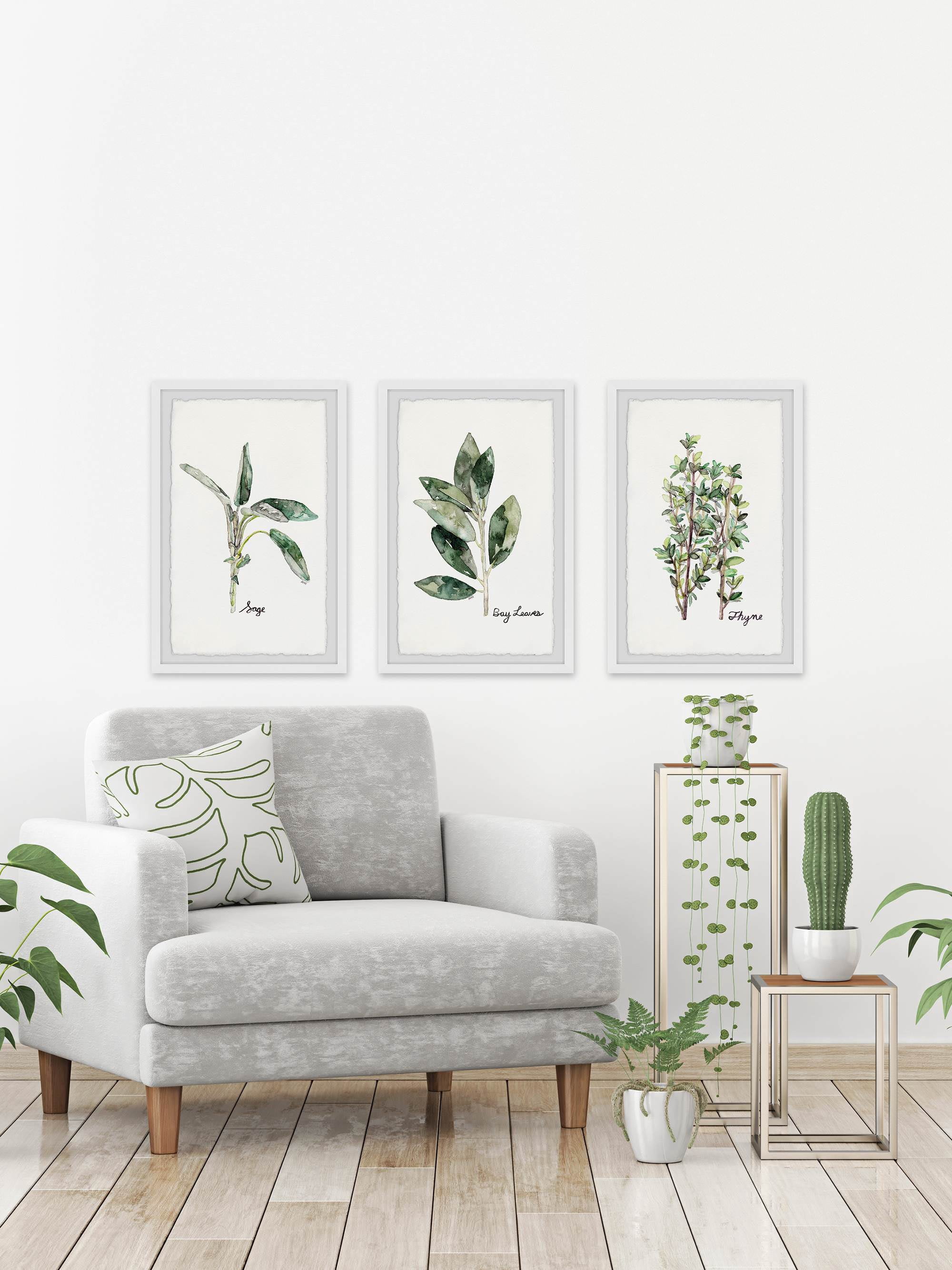 Herb Trio Triptych