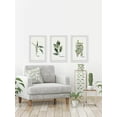 thumbnail image 5 of MARMONT HILL  - Handmade Herb Trio Triptych - Multi-color, 5 of 6