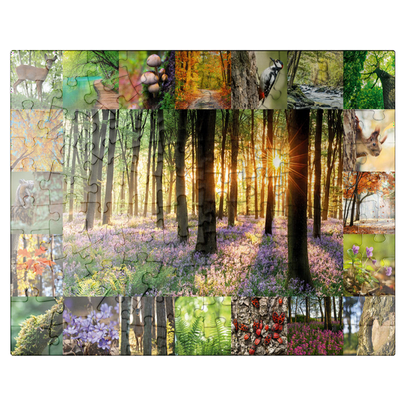 MyPuzzle - Forest Bathing - Collage - Premium 100 Piece Jigsaw Puzzle for Adults