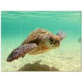 thumbnail image 1 of Turtle Picture Ceramic Tile Mural Kitchen Backsplash Bathroom Shower 406080-XL43, 1 of 9