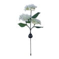 thumbnail image 2 of Soporte de pared para manguera de jardín | Almacenamiento seguro de mangueras | Uso en exteriores | Herramientas de jardinería y riego, 2 of 3