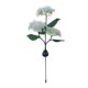thumbnail image 2 of Soporte de pared para manguera de jardín | Almacenamiento seguro de mangueras | Uso en exteriores | Herramientas de jardinería y riego, 2 of 3