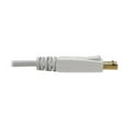 thumbnail image 3 of Tripp Lite 6" DisplayPort to Mini DisplayPort Cable Adapter (M/F), 3 of 4