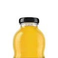thumbnail image 3 of Pack de 24 Jugo del Valle Botellin Mango 250 ml, 3 of 3