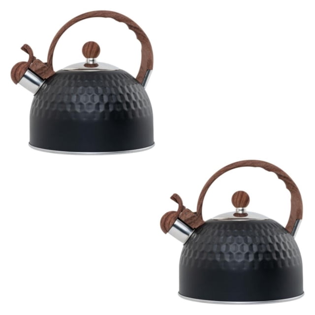 Cateissary Hervidor con silbido resistente a impactos, acero inoxidable, hecho para durabilidad, té, calentamiento rápido, grado alimenticio Type2 NO2