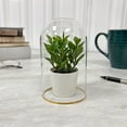 thumbnail image 2 of Plymor 3" x 5" Glass Display Dome Cloche with Gold Rim (no Base), Pack of 2, 2 of 3