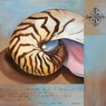 thumbnail image 2 of Brent, Paul 20x20 Gold Ornate Wood Framed with Double Matting Museum Art Print Titled - Sanibel Nautilus, 2 of 4