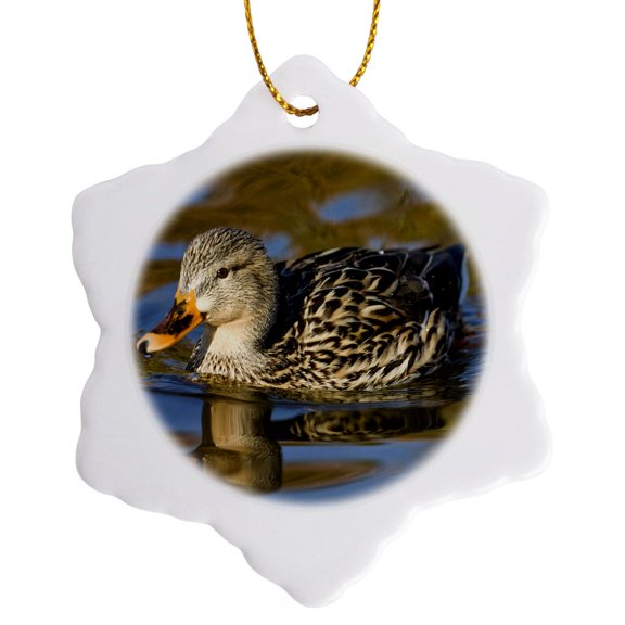 3drose, Mallard Duck, Santee Lakes, Southern California - Na02 Dno0632 - David Northcott, 3 inch Snowflake Porcelain Ornament