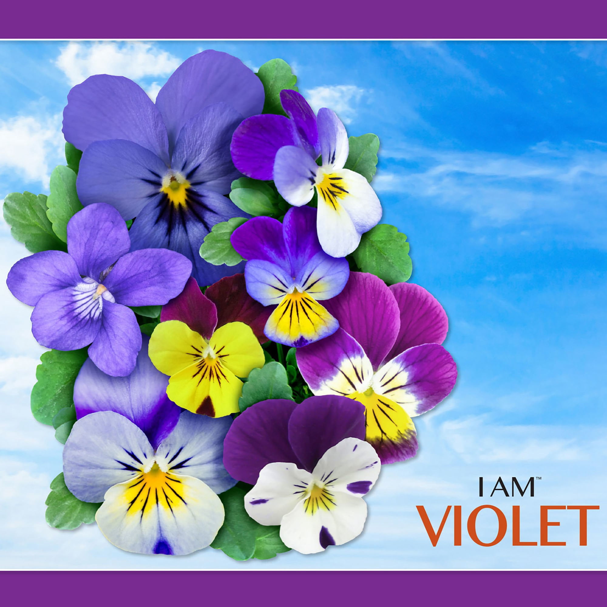 Madd Capp 350-Piece I Am Violet Floral Shaped Jigsaw Puzzle