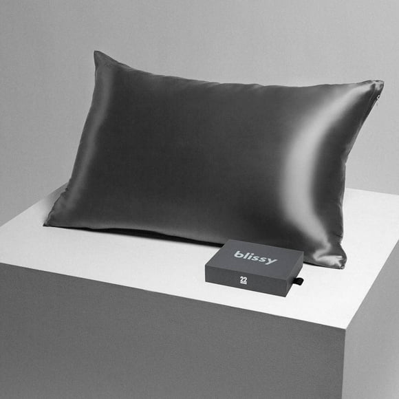 Blissy Silk Pillowcase - 100% Pure Mulberry Silk - 22 Momme 6A High-Grade Fibers - Silk Pillow Cover for Hair & Skin - Queen in Charcoal Grey with Hidden Zipper