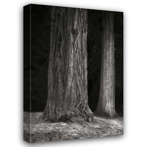 Vitaly Geyman 28x40 Gallery Wrapped Canvas Wall Art Titled - Ancient Forest II BandW