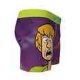 thumbnail image 5 of Scooby-Doo Zoinks! SWAG Boxer Briefs-Large (36-38), 5 of 5