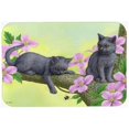 thumbnail image 1 of Carolines Treasures ASA2211CMT Chartruex Kittens Kitchen or Bath Mat, 20 x 30, 1 of 1