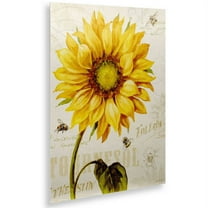 Trademark Fine Art "Under the Sun I" Brushed Aluminum Wall Art Art by Lisa Audit 16x22