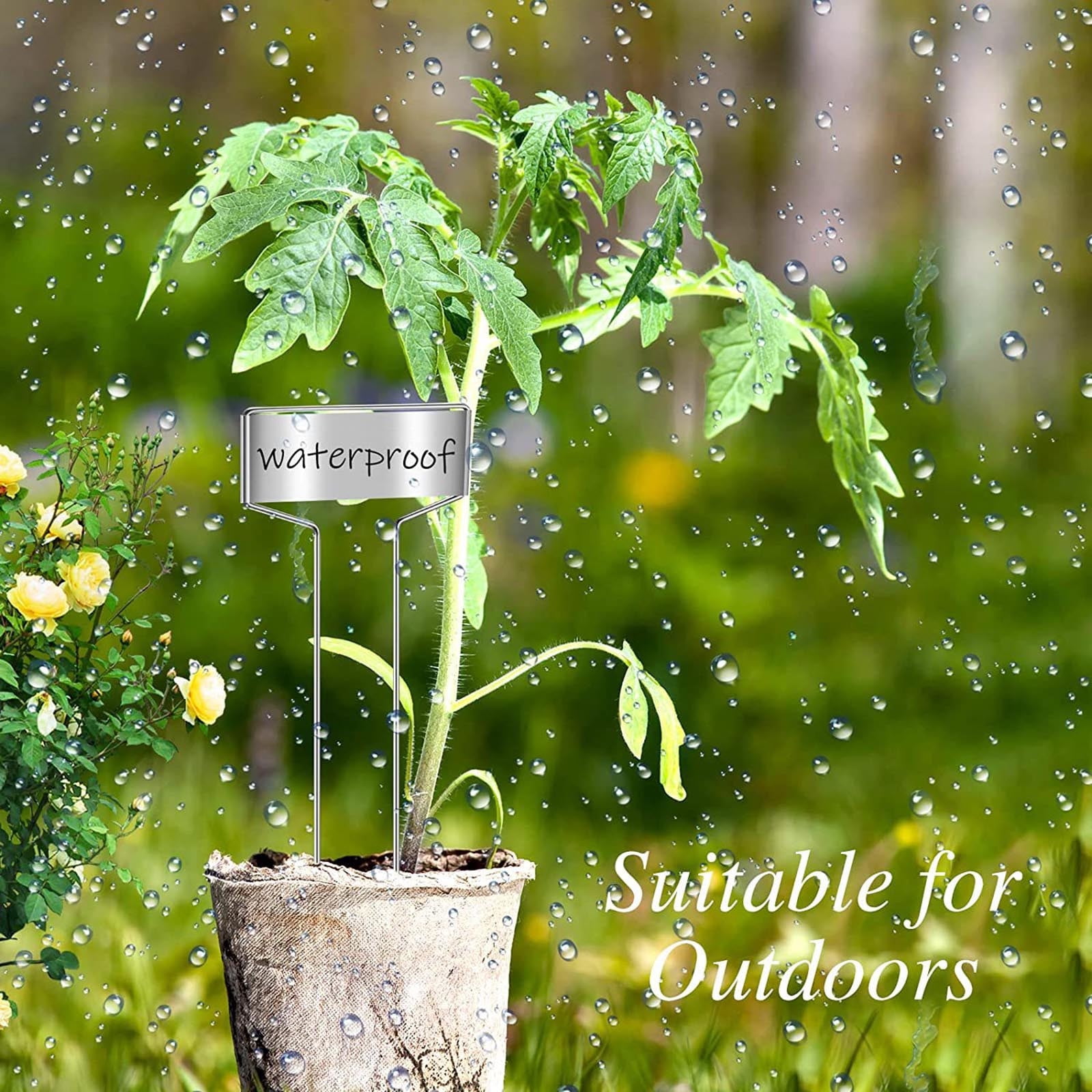 Metal Garden Markers Reusable Stainless Steel for Vegetable Flower Identification 10PCS