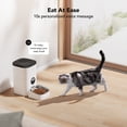 thumbnail image 6 of PETLIBRO Automatic Dog and Cat Feeder with Timer, Voice Recorder, 1-4 Meal Portion Control for Dry Food, 6 of 9