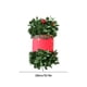 thumbnail image 3 of Guirnalda navideña | Guirnalda para árbol de Navidad con bayas y hojas | 200 cm, 400 cm, 600 cm de largo para repisa de chimenea, decoración del hogar | Tiras festivas de ratán para fiestas navideñas, 3 of 6