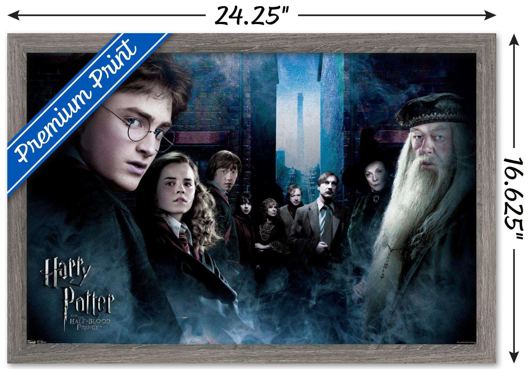 Harry Potter and the Half-Blood Prince - Fraternity Wall Poster, 14.725" x 22.375", Framed