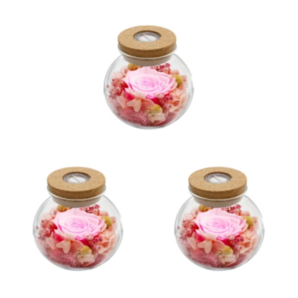 Naiovety Eternal Lantern - Forever Bright Colors Tratamiento de agua dulce Luminous Eternal Flower rosa Type1 NO1