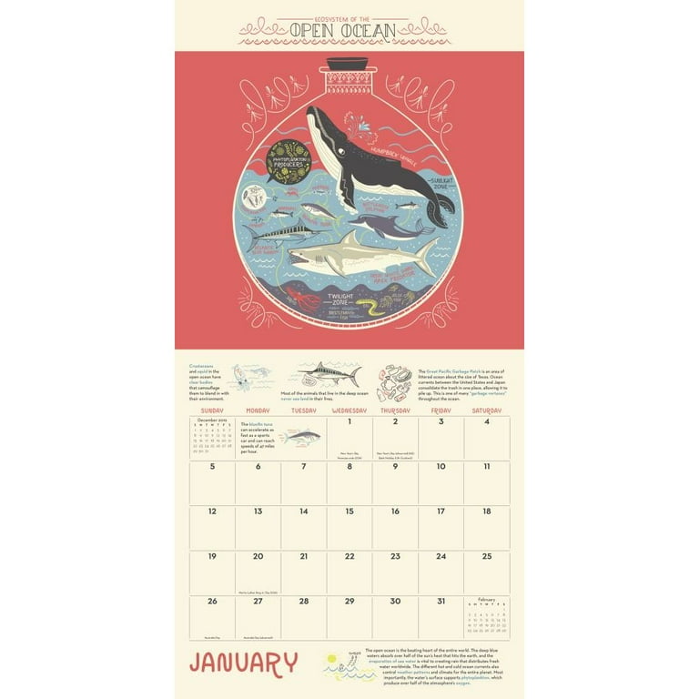 Wondrous Workings Of Earth 2024 Wall Calendar Belva Cathryn