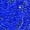 Blue, variant on Sholeno Girls Shiny Sequin Metallic Patchwork Dance Shorts Dancing Tumbling Bottoms Booty Shorts Black 16