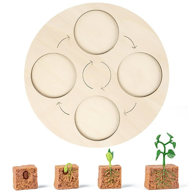 ZheElen Simulation Insect Animal Growth Kindergarten Model Educational Teaching Learning Imagination Cognition Toys Children Type 9