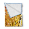thumbnail image 2 of Leaves Soft Flannel Fleece Blanket, Autumn Maple Tree from Bottom to Top View Environment Flora Season November Print, Cozy Plush for Indoor and Outdoor Use, 70" x 90", Orange Blue, by Ambesonne, 2 of 5
