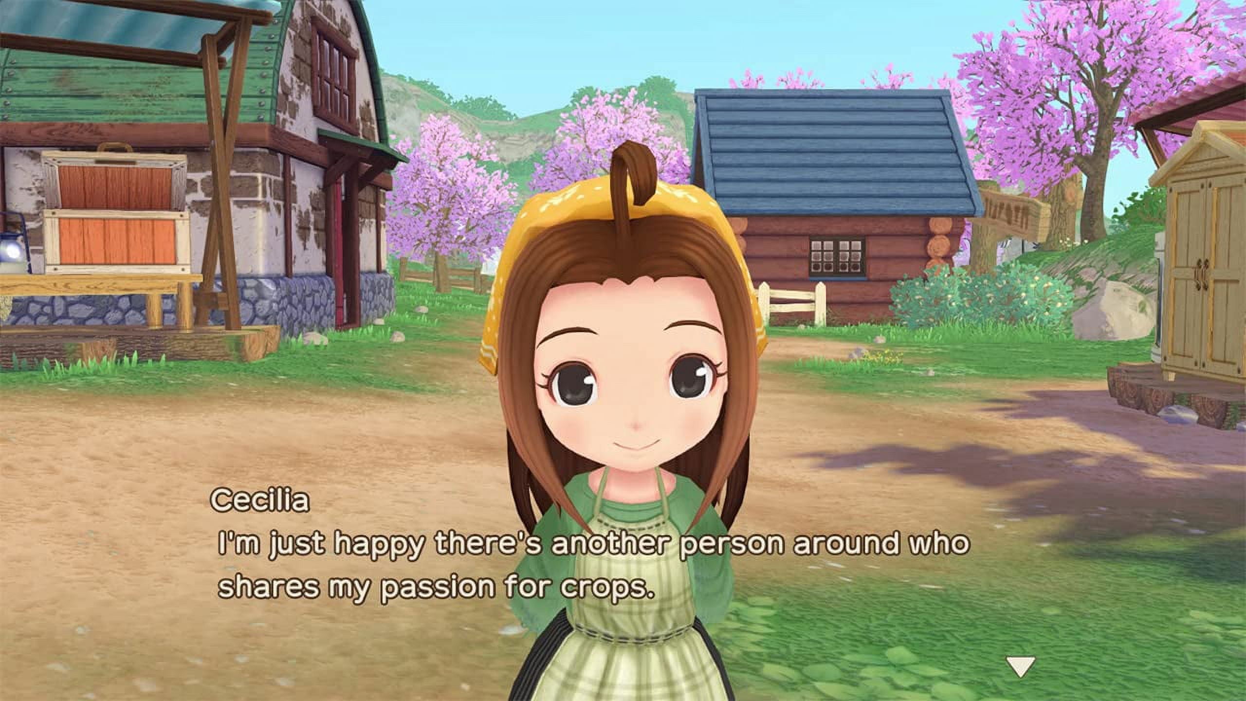 Story of Seasons: A Wonderful Life - Nintendo Switch - Walmart.com