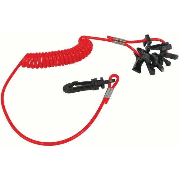 Attwood 7591-6 Universal Boat Kill Switch Key Set for Johnson, Evinrude, Mercury, Yamaha, Suzuki, Tohatsu and Honda