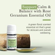 Pranarom USDA Certified Organic Rose Geranium Essential Oil (5ml), 100% Pure Undiluted Therapeutic Grade from Madagascar for Aromatherapy, Diffuser, Skincare, Relaxation, Pure Rose Scent