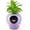 Purple, variant on Smart AI Flower Pot with Time-Temperature Display and Expressive Animations for Indoor Decor and Gifts (Green)
