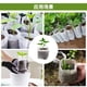 thumbnail image 2 of Zhuge Bolsas de siembra biodegradables de 200 piezas, bolsa de plántulas de tela no tejida blanca, taza de nutrición de sustrato ligero, bolsa de plántulas de frutas, 4,72 * 5,12 pulgadas, 2 of 5