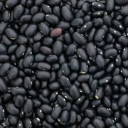 Black Turtle Bean  10 LB