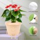 thumbnail image 3 of Linda Maceta Para Plantas Suculentas, Maceta Con Cara Sonriente, Pequeña, única, 2 Piezas Para Patio, 3 of 7
