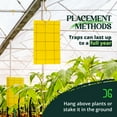 thumbnail image 3 of Catchmaster GRO Yellow Regular Double Sided Sticky Fly Traps 36PK, Adhesive Bug Trap 3"x5", 3 of 8
