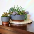 thumbnail image 7 of The HC Companies Capri Bowl Succulent Pot, Faux Concrete Copper (2 Pack), 7 of 7