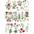 thumbnail image 2 of Prima Re-Design Decor Transfer-Floral Collection 22"X32 Pouces, 2 of 2