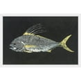 thumbnail image 2 of Marmont Hill "Roosterfish" by Warren Sellers Framed Painting Print, 2 of 5