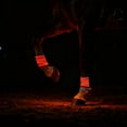 thumbnail image 3 of High Visibility LED Leg Bands For Nighttime Horse Riding And Equine Activity Visibility Enhancement, 3 of 3