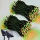 thumbnail image 1 of Guirnalda de luces solares EEW, paquete de 2, 200 LED, resistentes al agua, RGB, 1 of 3